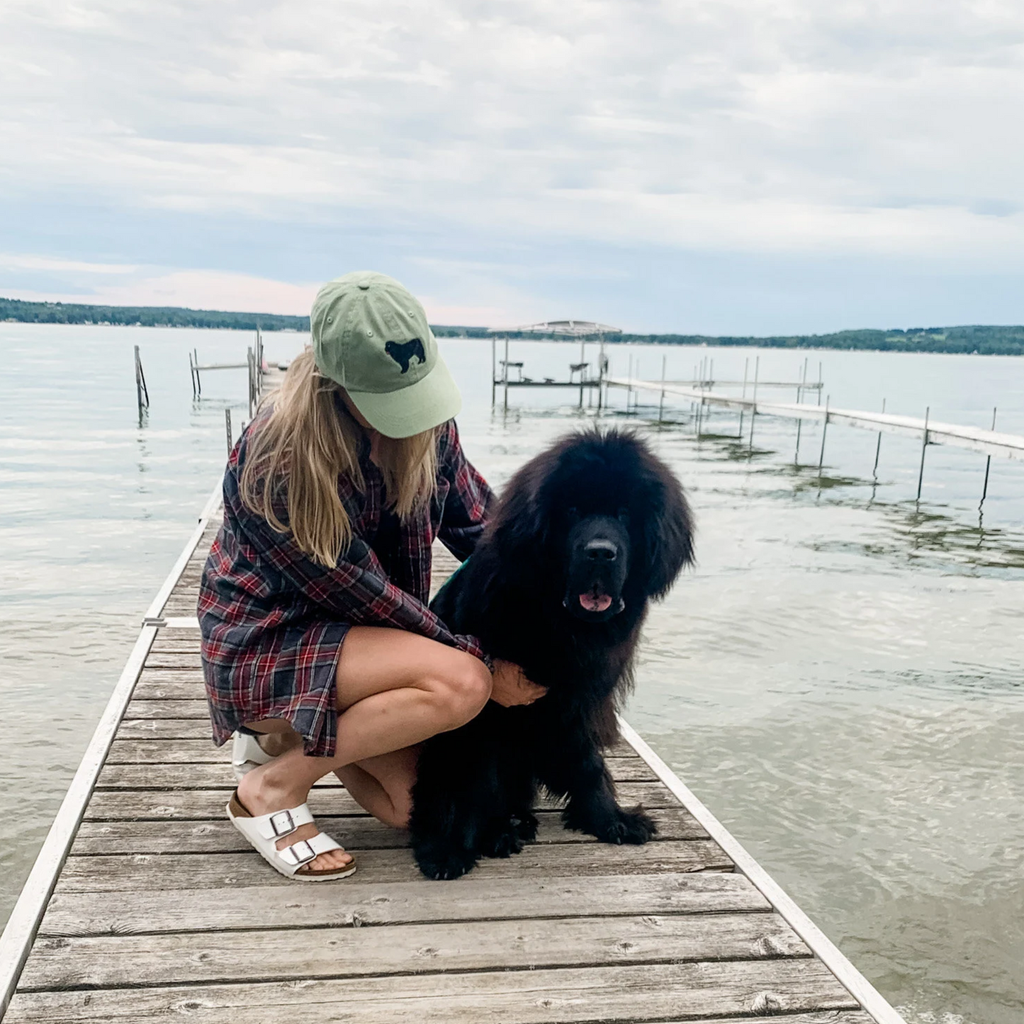 Embroidered Newfoundland Dog Hat