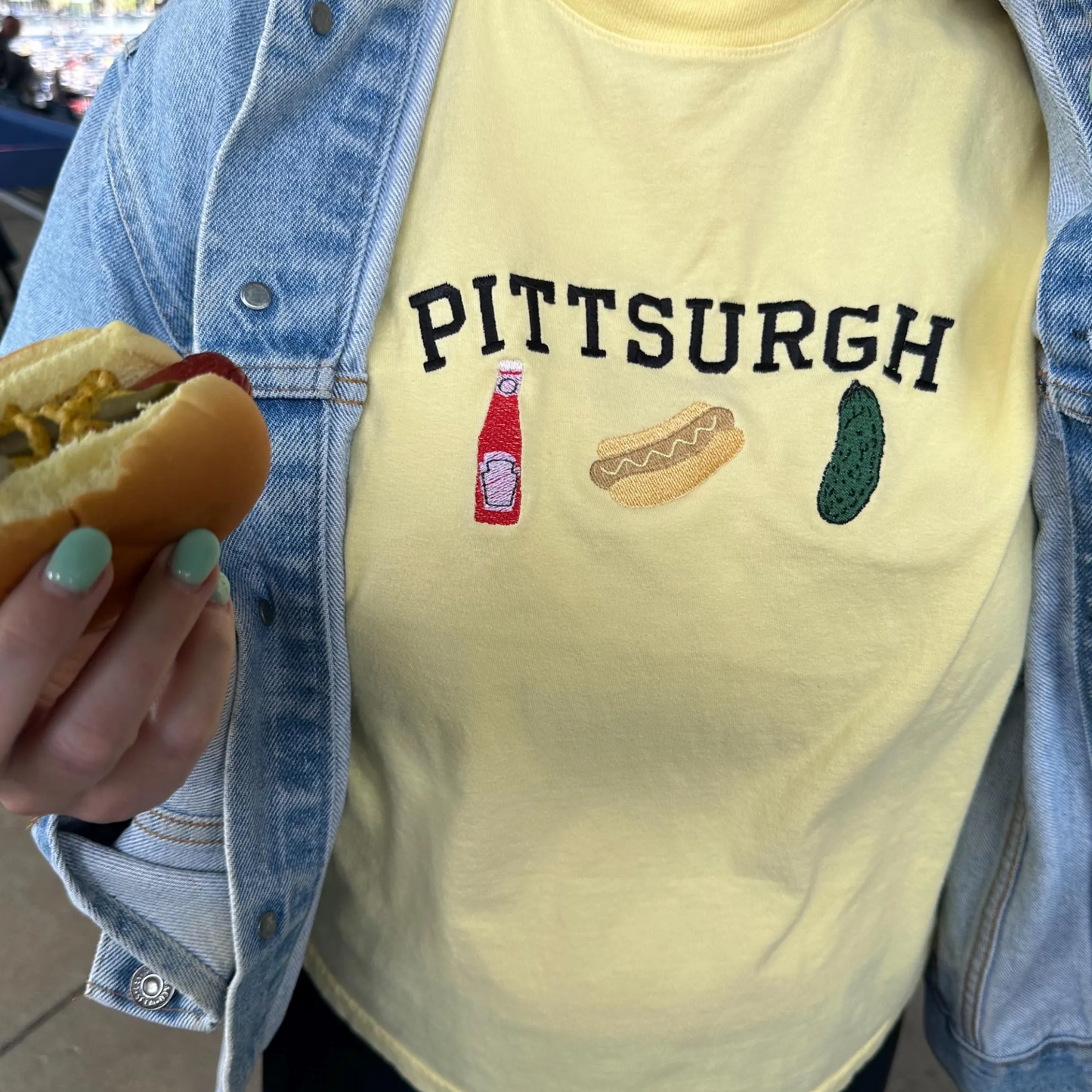 Pittsburgh Embroidered T-Shirt